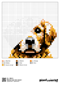 Coloriage %s pour adulte à imprimer (numérotés)